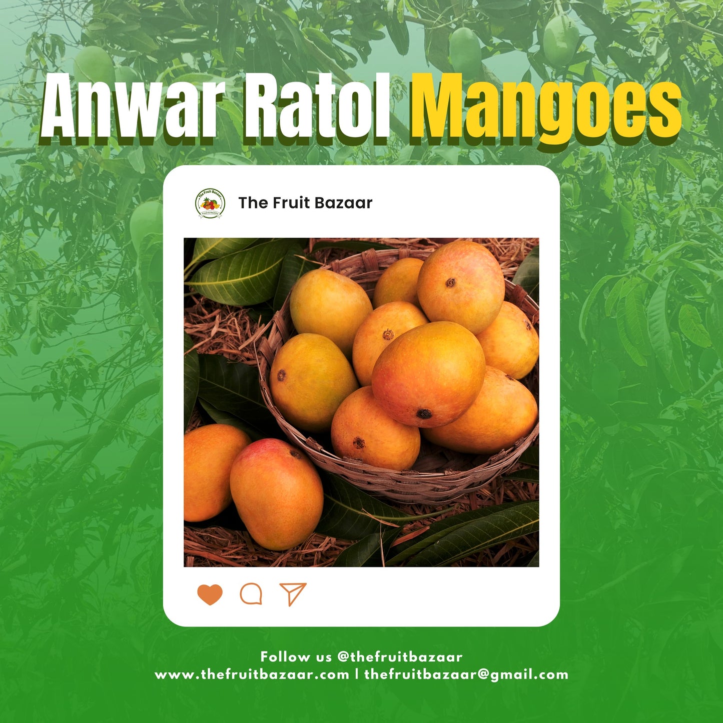 Premium Export Quality Anwar Ratol Mangoes