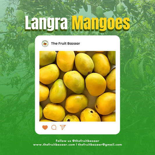 Premium Export Quality Langra Mangoes