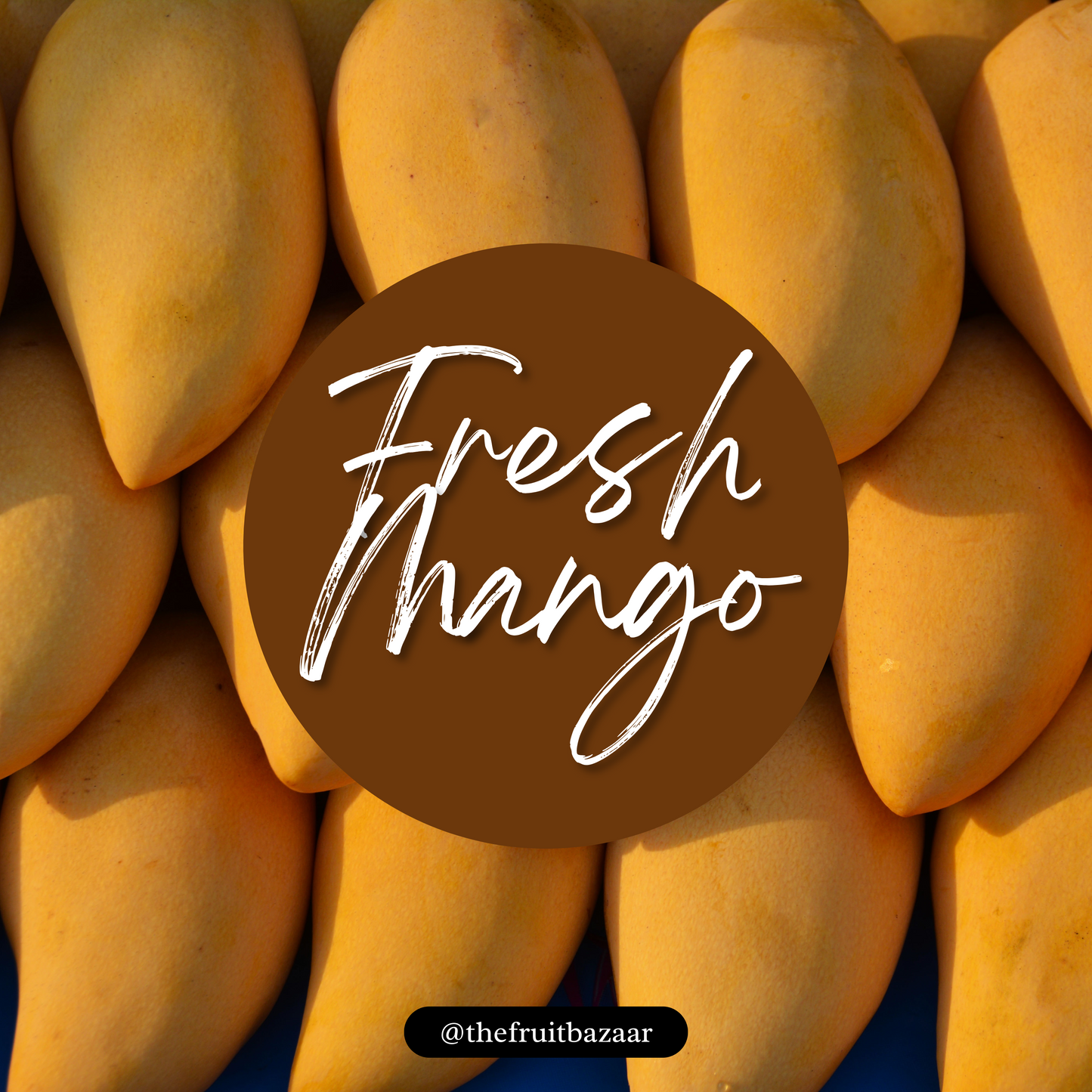 Premium Sindhri Mangoes